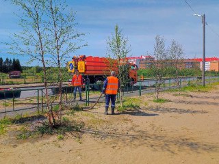 Уход за Зелеными Насаждениями в Нарьян-Маре: Летние Работы