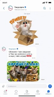 Госуслуги станут аналогом Telegram: что изменится?